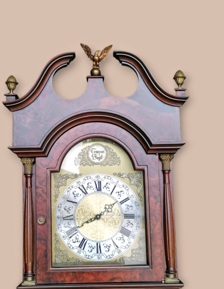 1000001381-photoroom