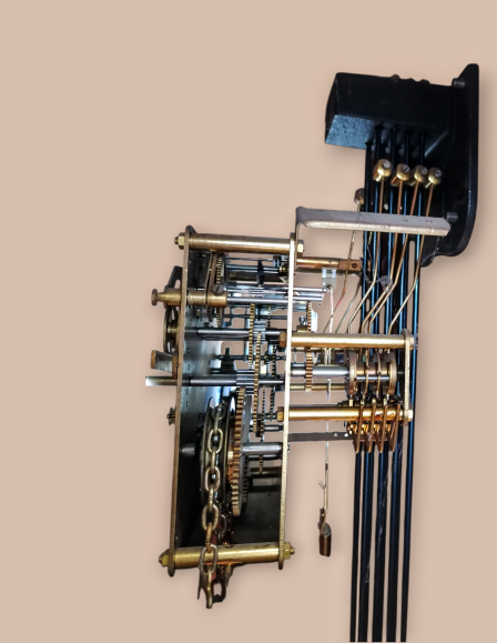 1000001389-photoroom