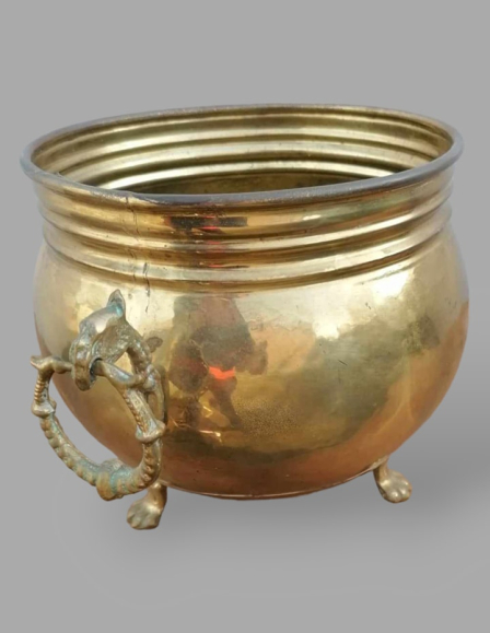 431485449-937217477777831-8971586401018232440-n