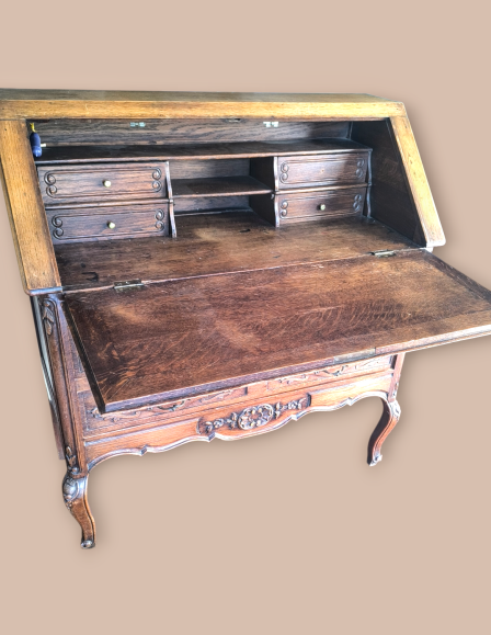 img-20260124-103636-photoroom