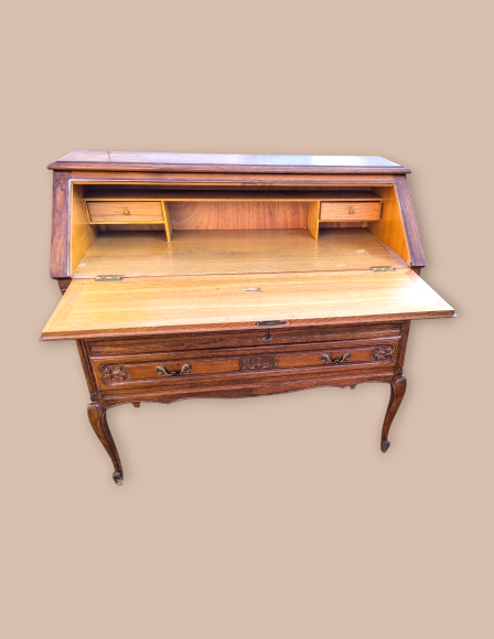 img-20260125-111340-photoroom