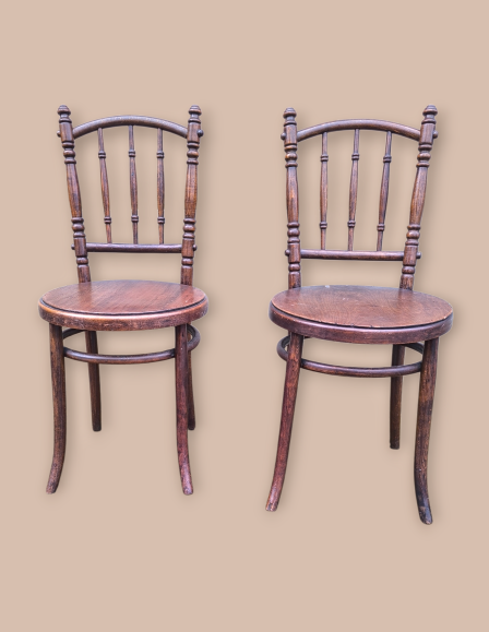 img-20260212-153130-photoroom