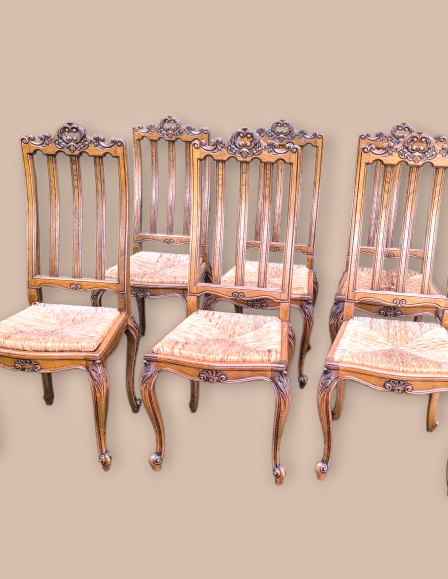 img-20260212-154541-photoroom