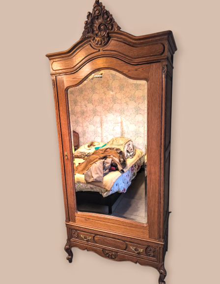 img-20260213-173723-photoroom