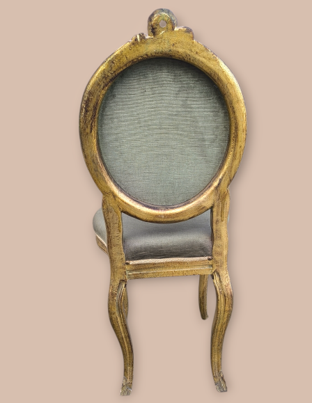 img-20260227-145605-photoroom