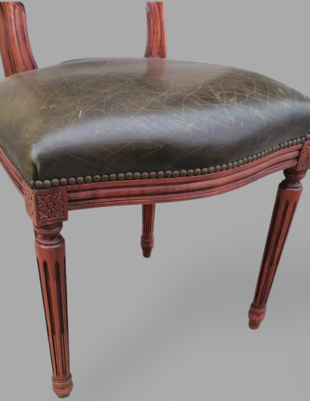 photoroom-20231008-221135-32