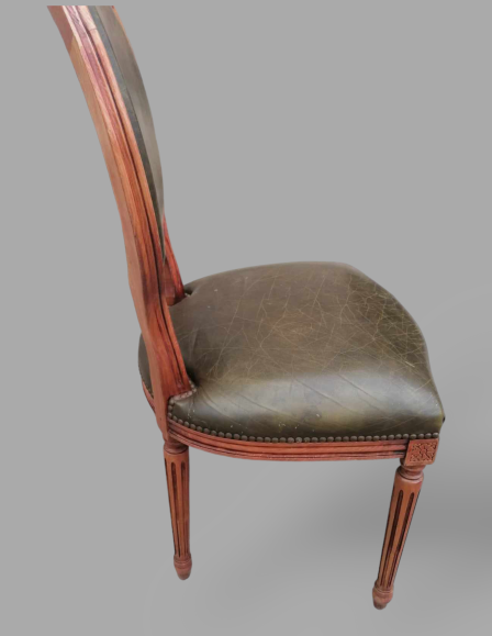 photoroom-20231008-221135-33