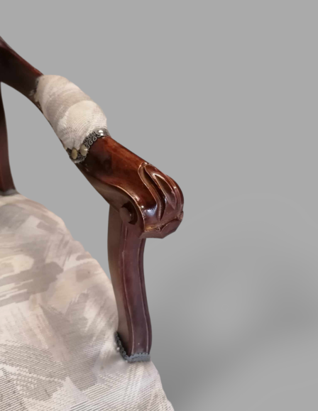 photoroom-20231106-180602-6