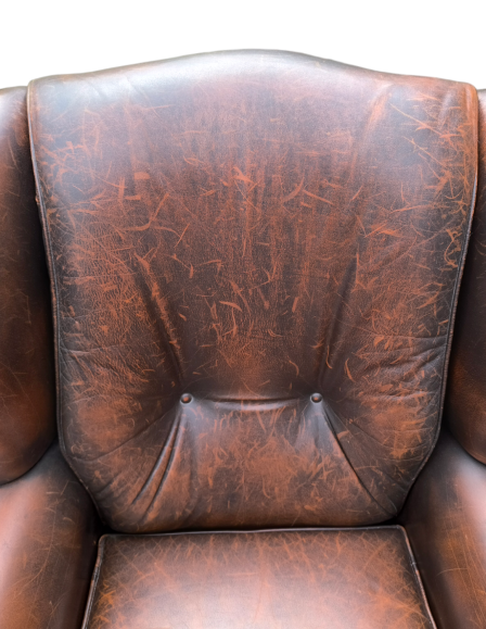 photoroom-20240804-145419-8