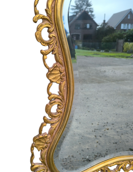 photoroom-20241022-211406-19