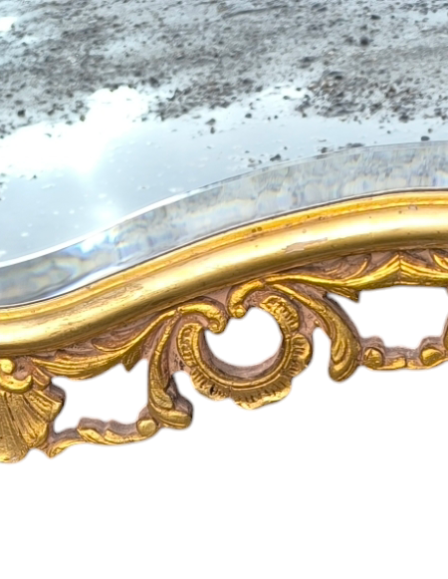 photoroom-20241022-211406-20