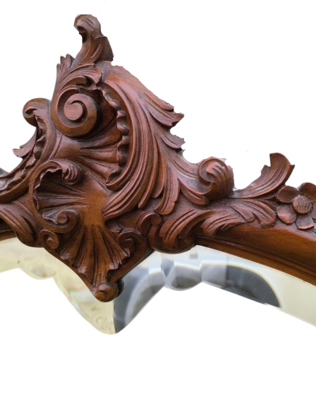 photoroom-20241110-144915-4-edit