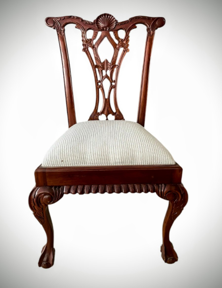 photoroom-20241129-215805-4-edit