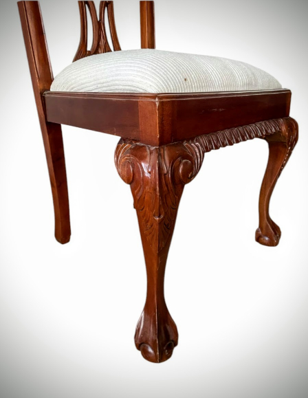 photoroom-20241129-215805-5-edit